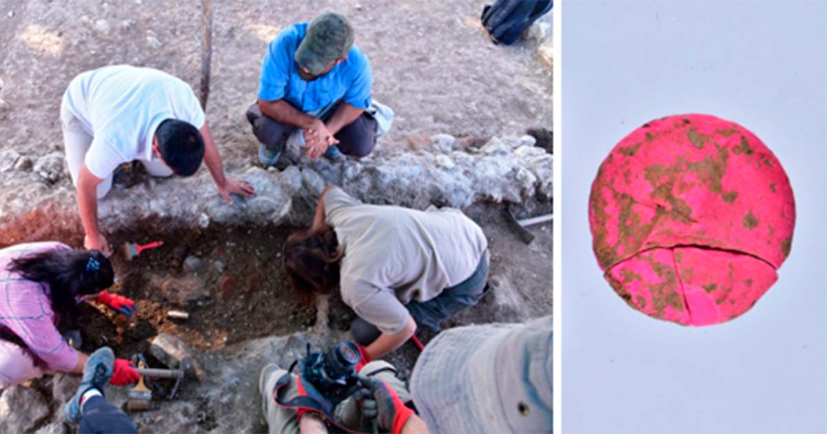 2,000-12 months-Previous Roman Era Make-up & Jewellery Unearthed in Historic Town of Aizanoi