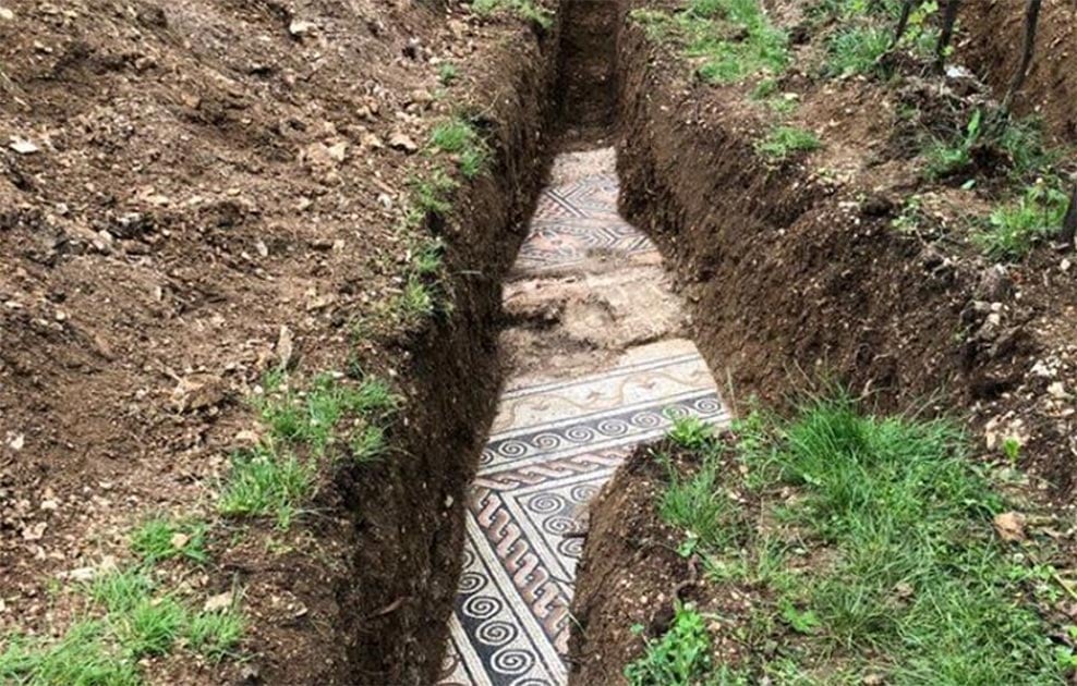 Pristine Roman  Mosaic Floor  Found Under Vineyard In Italy 
