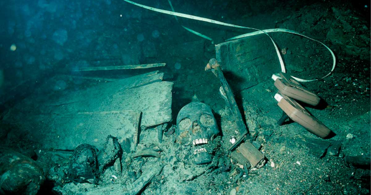 Underwater Kronan excavations that were one of the sources of ancient Scandinavian genes in the study. Source: Lars Einarsson/Cell Press