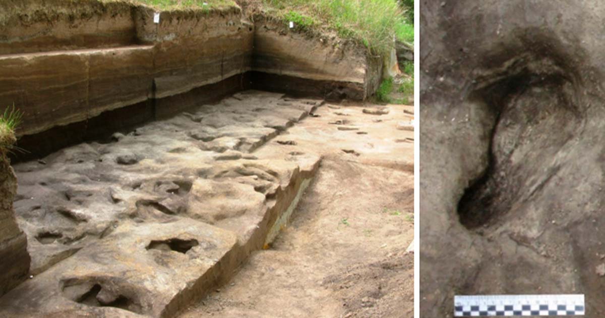 Die ältesten in Deutschland gefundenen Hominin-Fußabdrücke bieten Einblick in das Leben in der Antike