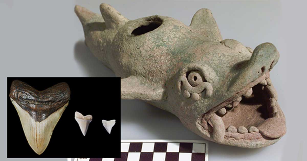 Mayan Depictions of Sea Monsters May Be First Representations of Ancient  Sharks | Ancient Origins