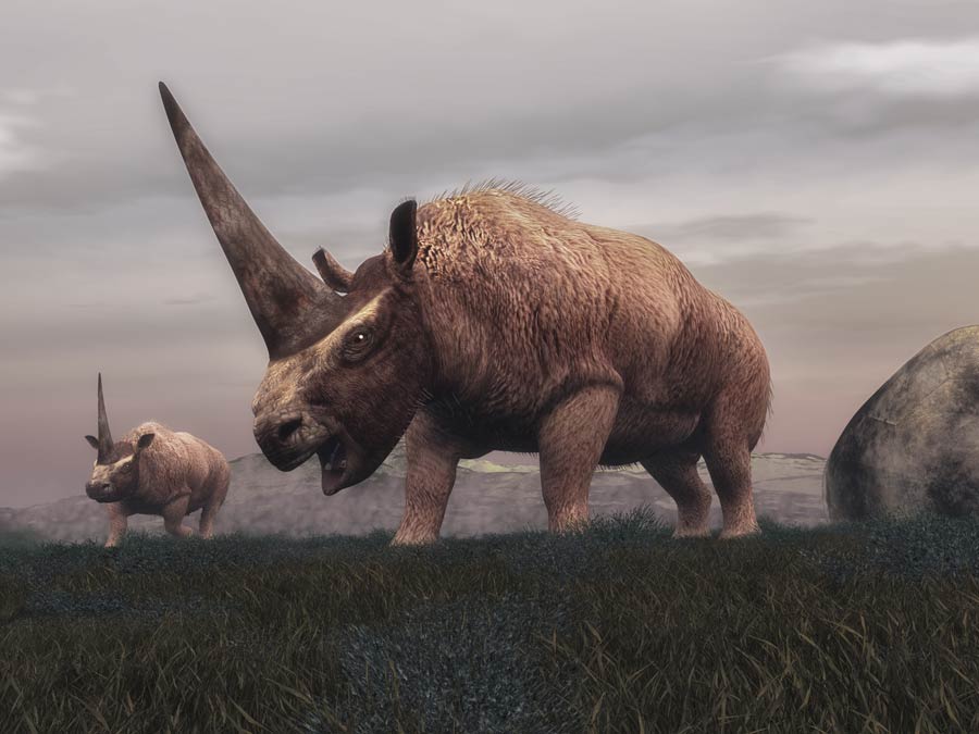 The Last of the Siberian Unicorns: What Happened to the Mammoth-Sized One-Horned Beasts of Legend?
