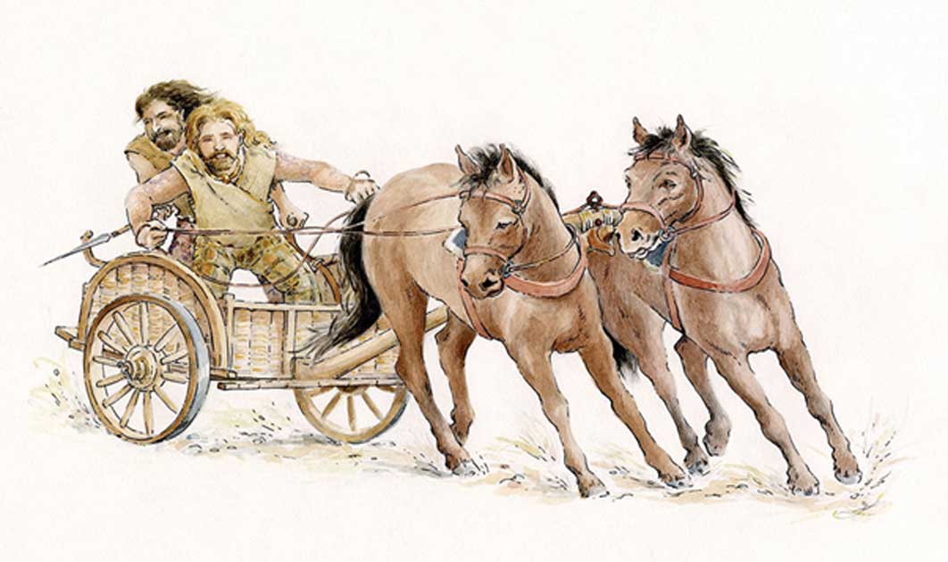 A Silures wagon by Anne Leaver.