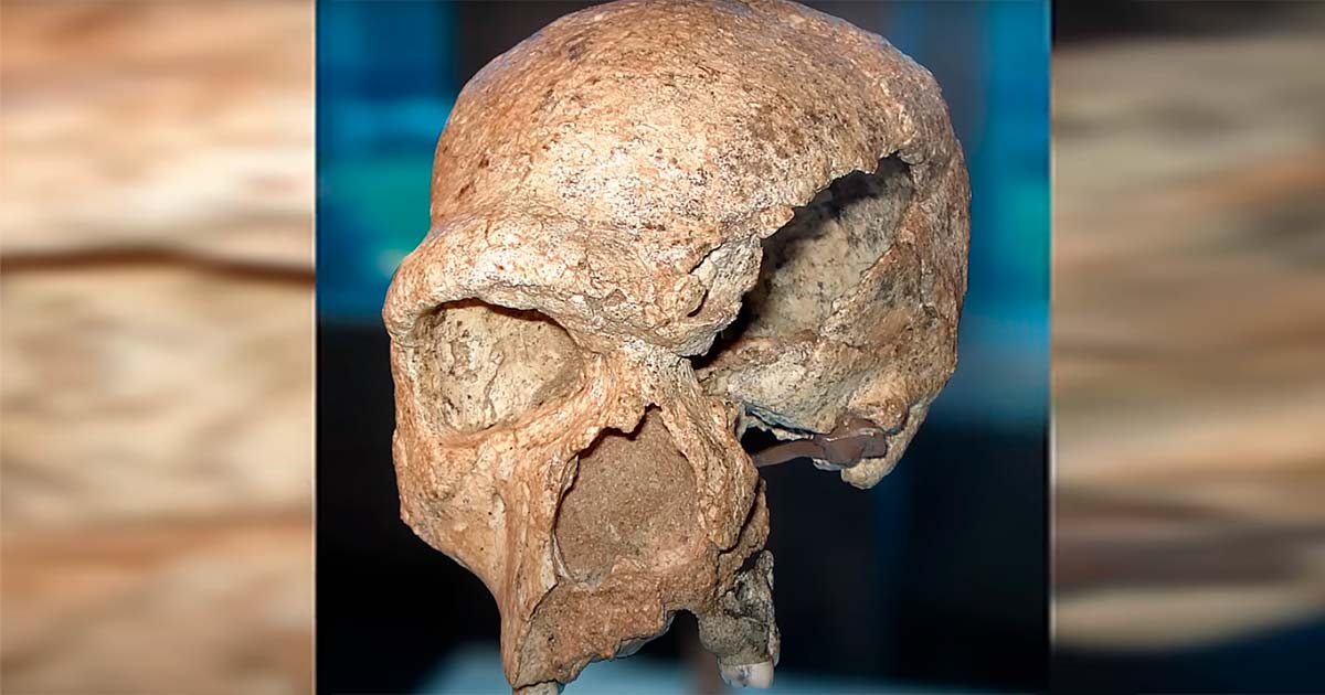 The Oldest Homo Sapiens Skull Ever Discovered (Video) | Ancient Origins