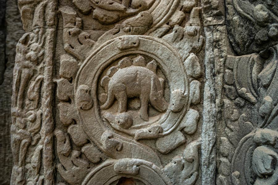 The so-called dinosaur carving at Ta Prohm temple in Cambodia.
