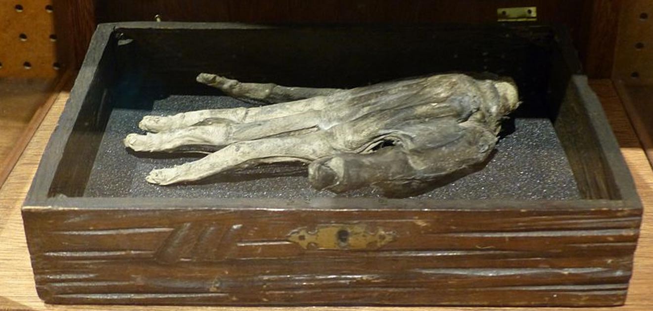 The Hand of Glory at the Whitby Museum, England. 