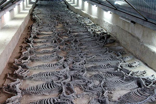 The Tomb of Duke Jing of Qi and his 600 Horses