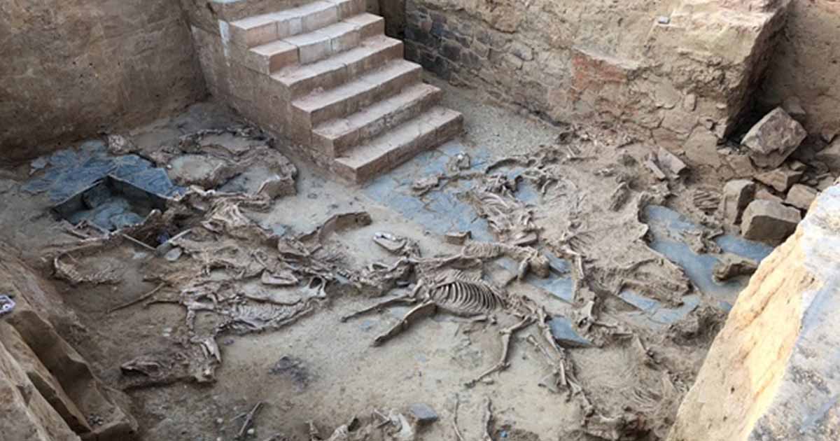 Descubriendo el sacrificio masivo ritual de animales perdidos en el sitio de Tartessus en España