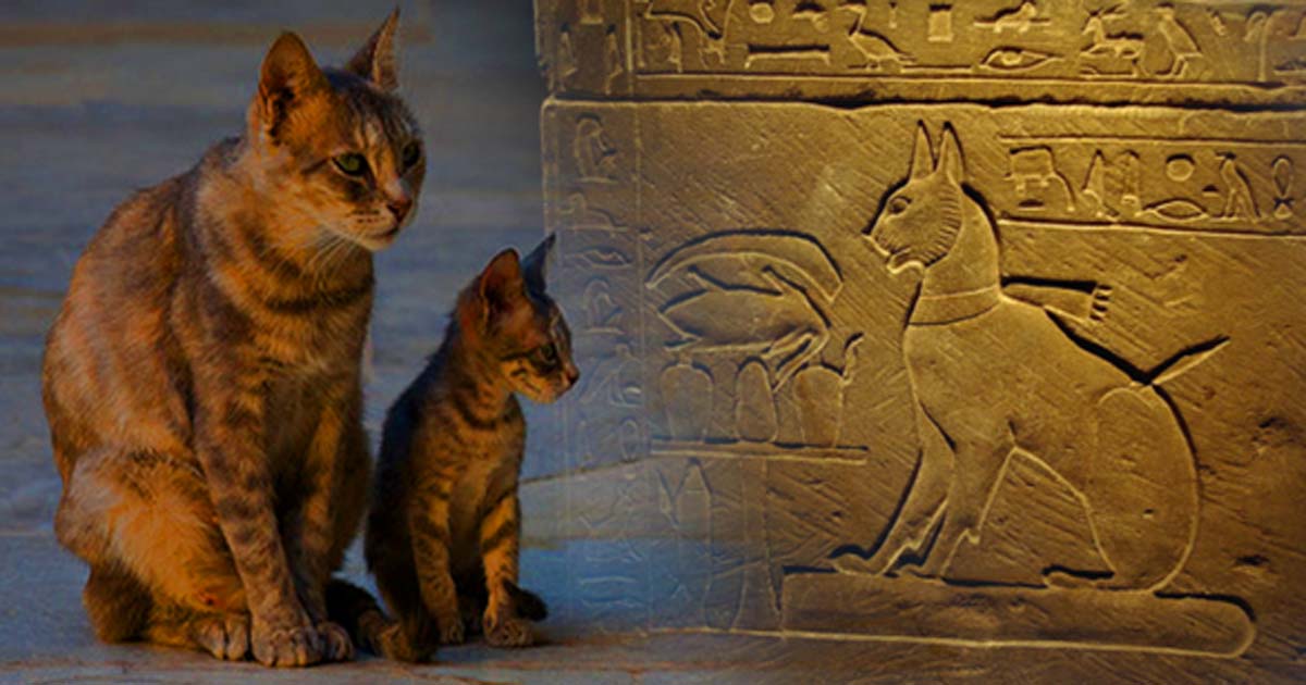 The Cat Came Back A More Than Mythical History Part I Ancient Origins