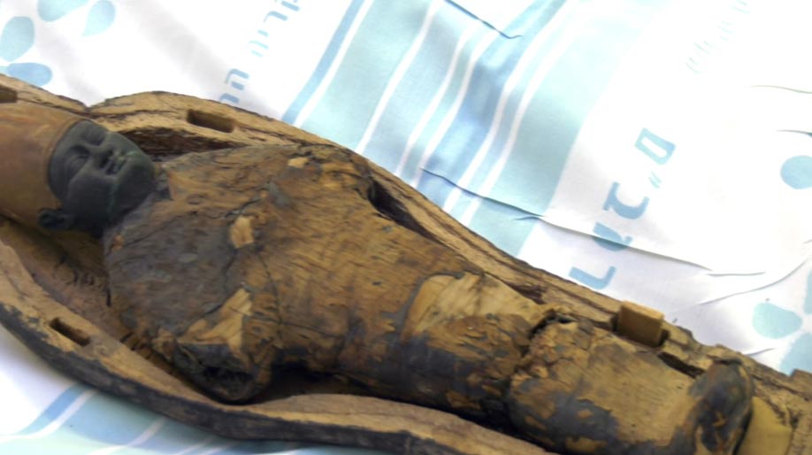 A child mummy discovered in an ancient Egyptian tomb was not human. 