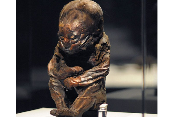 Mummified Detmold Child - Peru