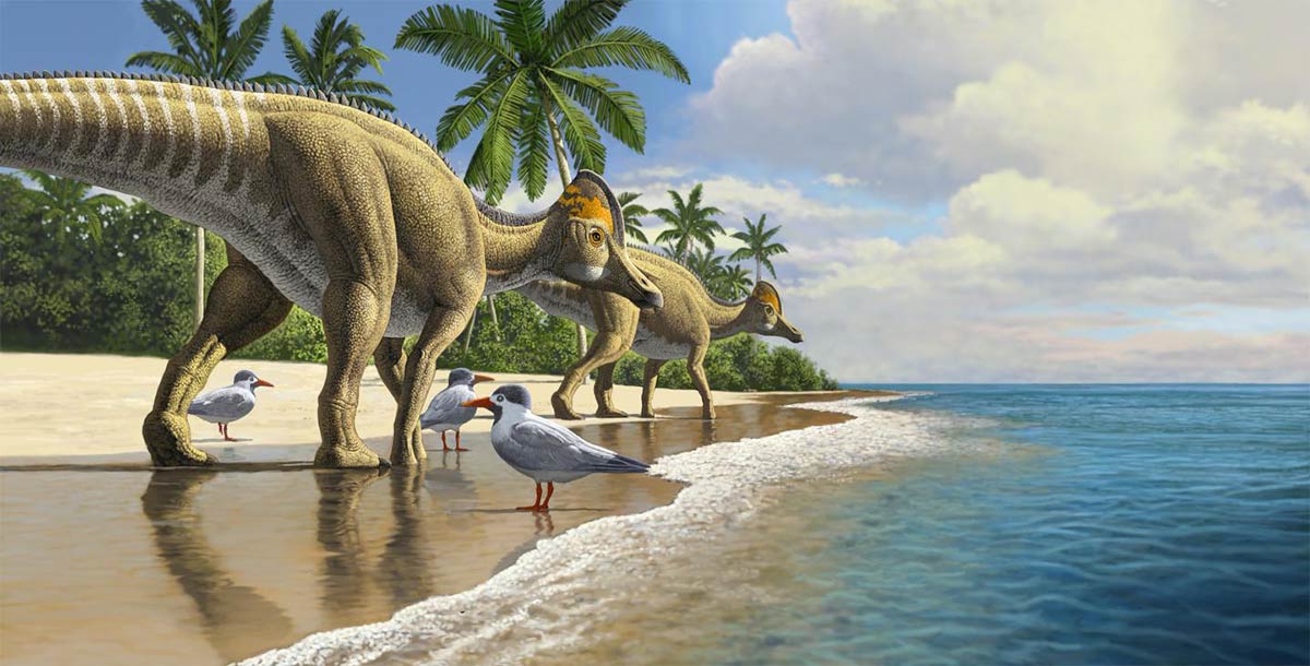 New Duckbill Dinosaur Evidence Shows That Dinosaurs Crossed Oceans