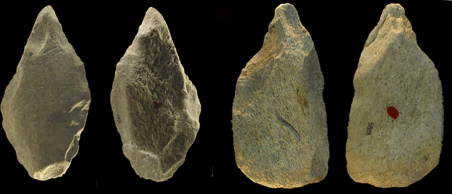 Une étude révèle d’anciens outils en os d’éléphant fabriqués par Hominin il y a 400 000 ans