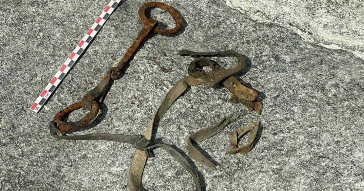 Et eldgammelt hestehodelag dukker opp fra smeltende is langs Viking-handelsveien