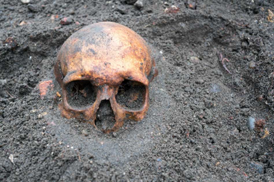 A Skull Bone Discovered in Greece May Alter the Story of Human