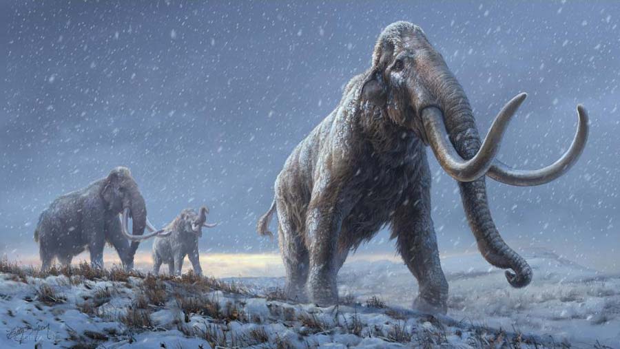 Mammoth DNA breaks record for world’s oldest series