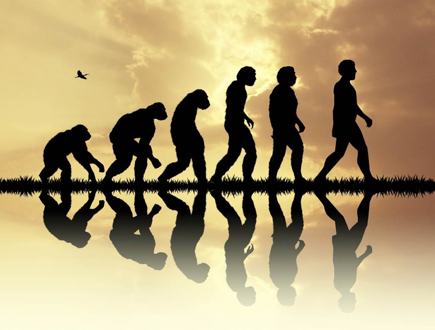 Modern human descent will not be traced to a single point