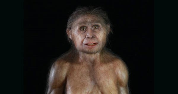 Hobbit - Homo floresiensis