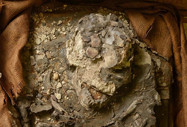 The rediscovery of 'Noah', a 6,500-year-old skeleton, who survived a Great  Flood | Ancient Origins