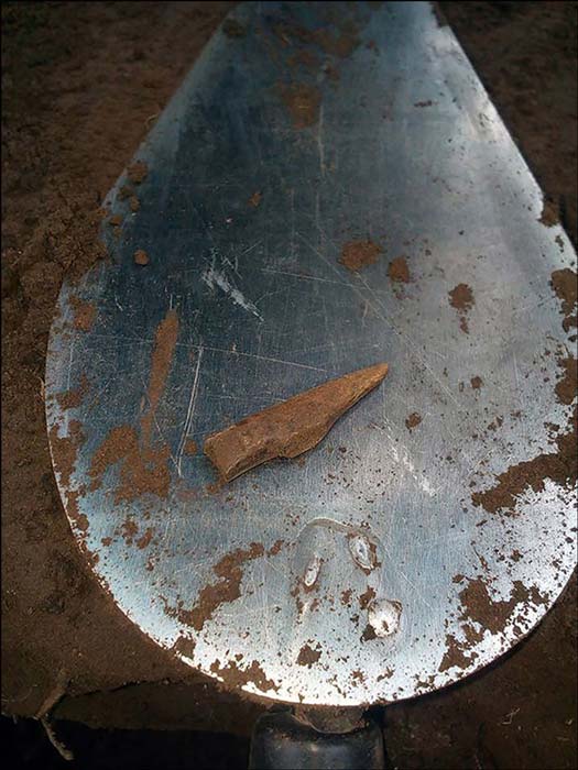 There is an extraordinary level of preservation of the fish skeletons. Pictures: Victor Dyakonov