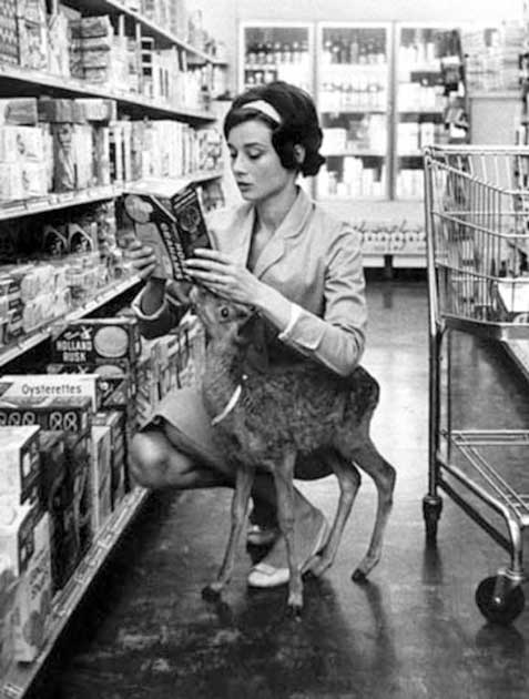 Audrey Hepburn grocery shopping with her famous pet deer (Diane Person / CC BY NC SA 3.0)