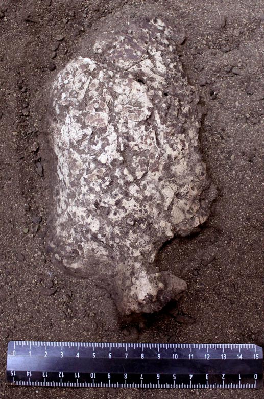 'Such gypsum masks are excellently preserved in a dry environment, in sandy soil, 