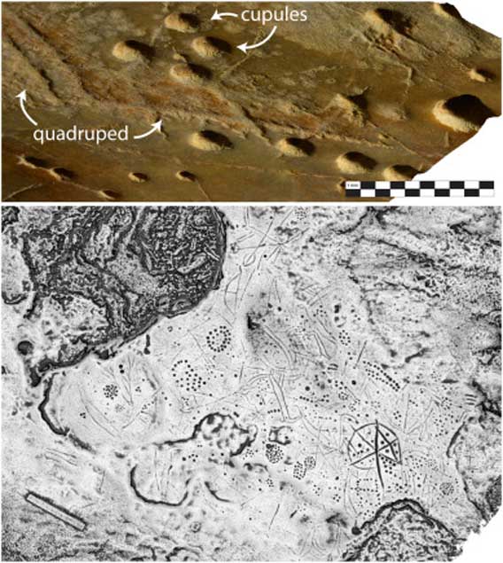 Above: An image, generated from a high-resolution 3D model, showing the range of relief or depth in the carving of cupules, antlers, and other scratches in the Asphendou Cave surface. Below: A gray-scale depth map of the Asphendou Cave petroglyphs. (S. Murray and P. Sapirstein)