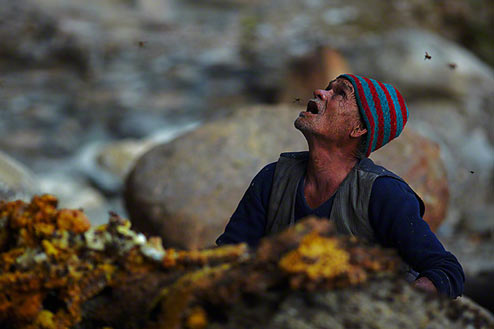 A man looks up with concern as a honey hunter hangs from a rope ladder. (Andrew Newey)