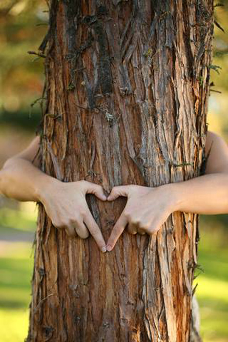 Un écorcheur d'arbres du 21e siècle à Austin, au Texas. Aujourd'hui, le terme étreinte d'arbre signifie plus que simplement étreindre des arbres. C'est aussi valoriser les arbres pour ce qu'ils apportent aux sociétés humaines. (Happy Hour de Austin Area Tree Huggers)