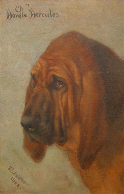 Donnchadh se convirtió en un perro famoso debido a sus acciones para salvar a su dueño, Robert the Bruce, en el año 1300. (Dominio público)