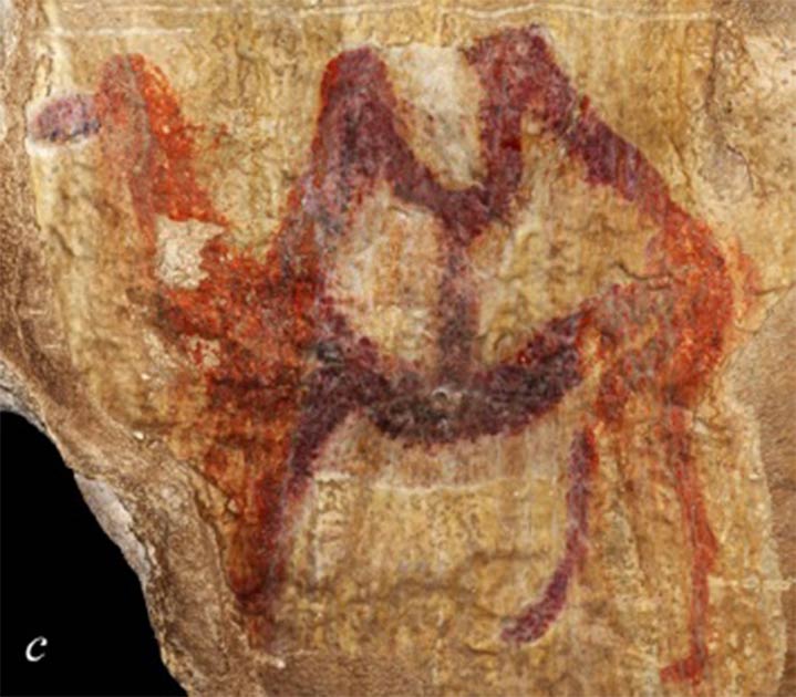 Images of camels and other animals have been discovered in caves in the southern Urals. (Yuri Esin)