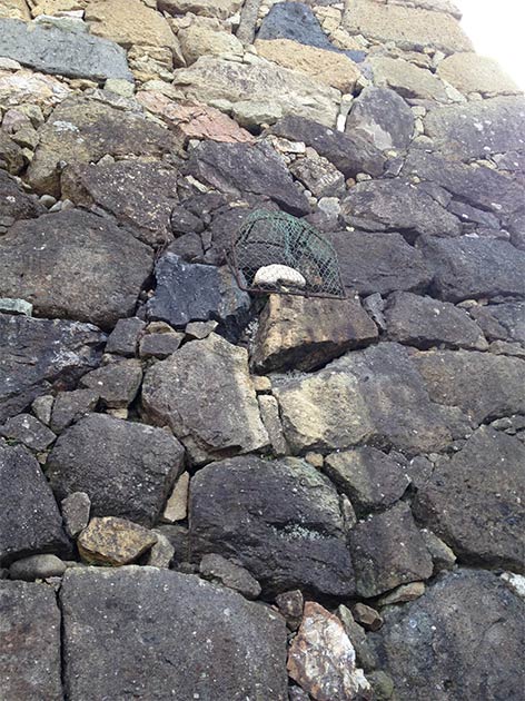 Ubagaishi stone in a wall at Himeji Castle (CC BY-SA 3.0)