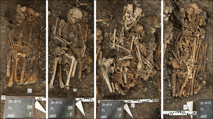 From left to right, graves 229, 230, 231 and 232 during excavation, upmost layer 