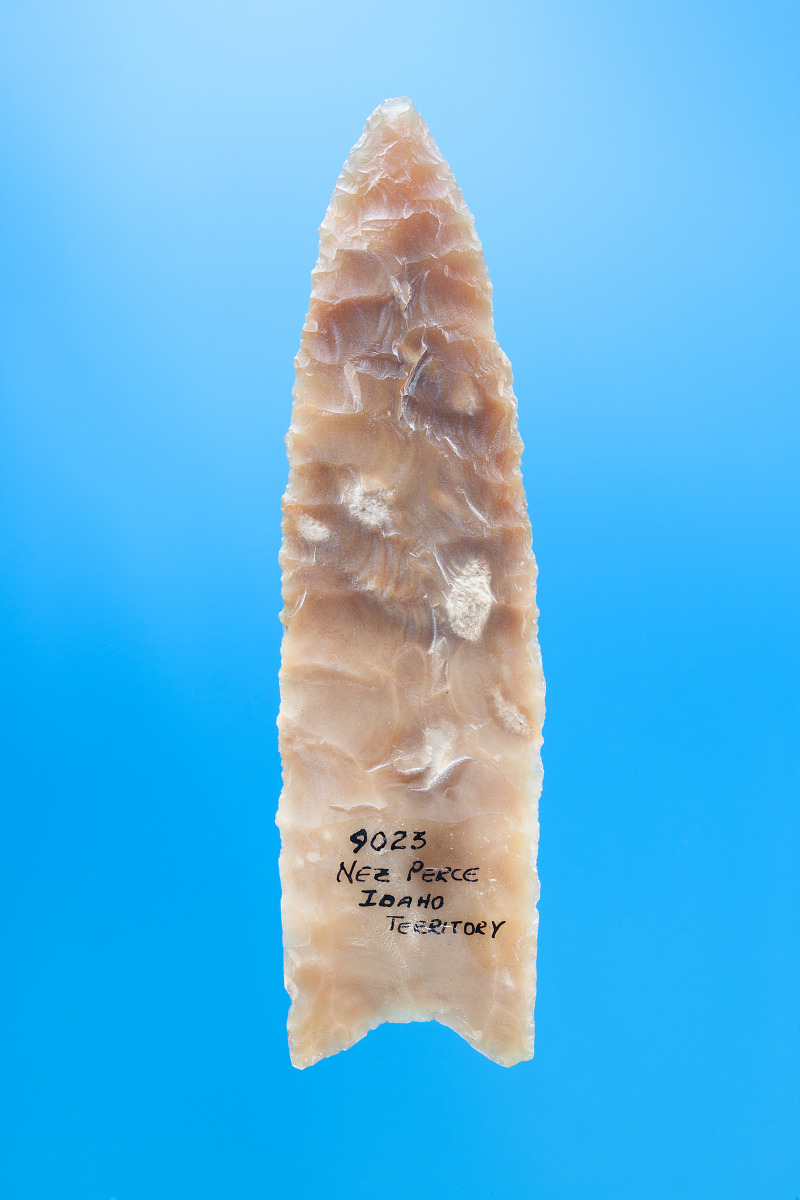 A Clovis fluted projectile point is the signature tool of the Clovis culture
