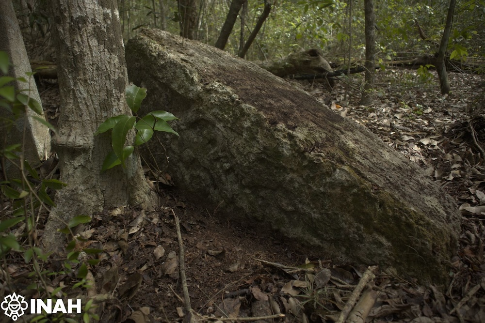 A carved limestone monument remains in situ at the newly discovered Maya city of Minanbé in the Calakmul Biosphere Reserve, Campeche, Mexico