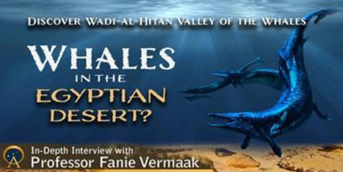 Whales in the Egyptian Desert Talk Advert.
