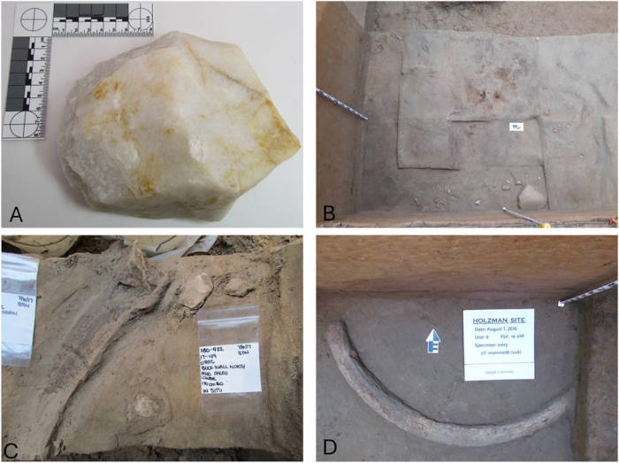 Findings associated with the Holzman archaeological site