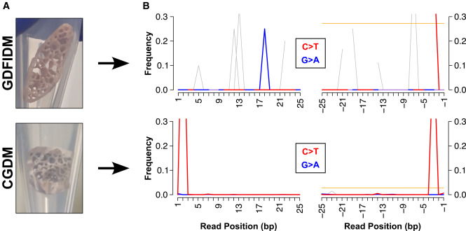 Ancient DNA damage patterns were used to authenticate Plasmodium DNA recovered from the skeletal remains of Grand Duke Francesco I de' Medici and Cardinal Giovanni de' Medici during the study of Renaissance malaria infections