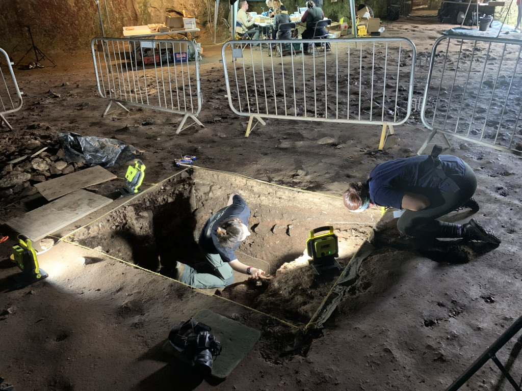 Archaeologists excavating Wogan Cavern beneath Pembroke Castle in Wales. Previous excavations revealed remarkably well-preserved prehistoric sediments containing evidence of Ice Age animals, Mesolithic hunter-gatherers, early Homo sapiens, and possible Neanderthal occupation, prompting a major new five-year research project