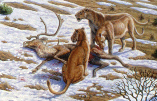 Artist's reconstruction of prehistoric lions feeding on a deer in Ice Age Europe