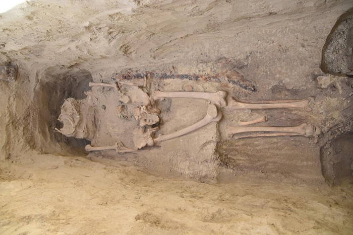 Avar warrior remains in the tomb.