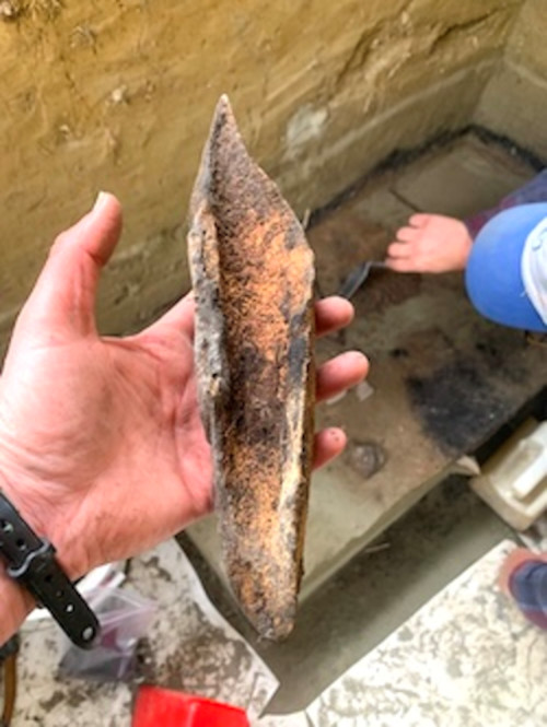 Steppe bison bone recovered at Shég’ Xdaltth’í’ during excavation