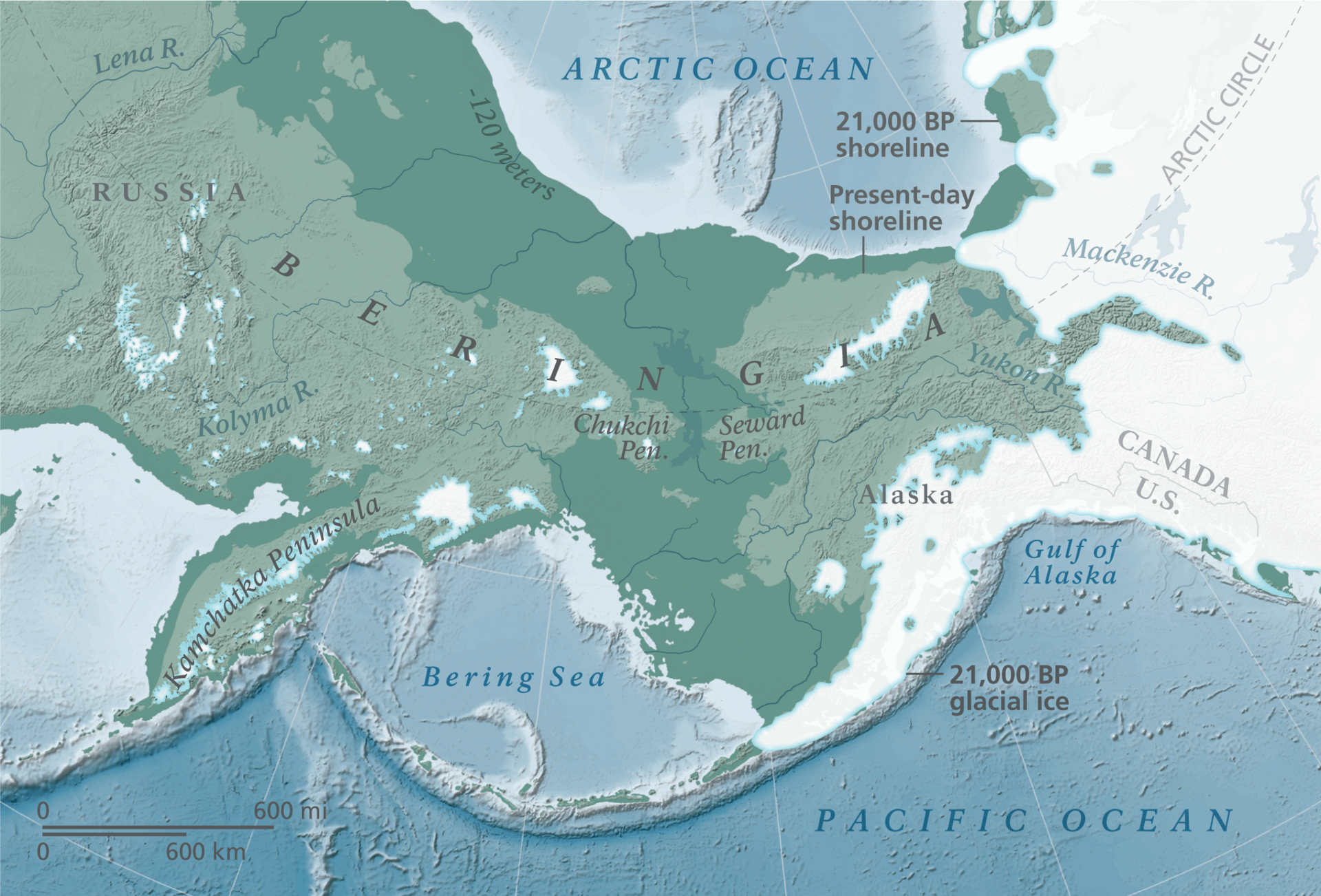 Beringia Land Bridge Reconstruction