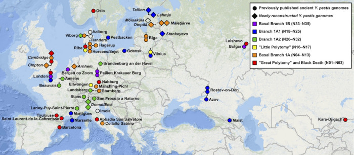 Map of places with palaeogenomic evidence for Y. pestis associated with the Second Pandemic from previous publications and this study