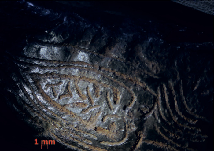Close-up of the engraved tin-lead alloy mount on the boar tusk.