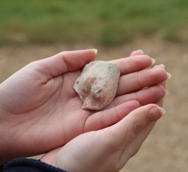 The fragment of a Venus statue