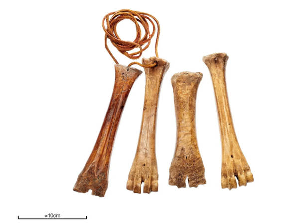 Selection of bone skates.