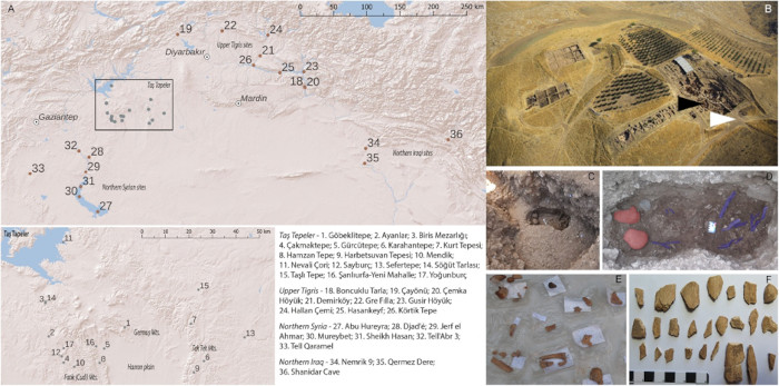 The excavation plan, collective grave, and examples of loose human bones at Göbekli Tepe. 