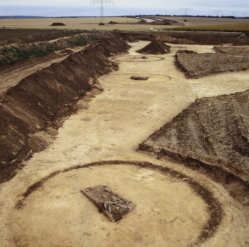 Late Bronze Age circular ditches with central graves from the excavations near Esperstedt.