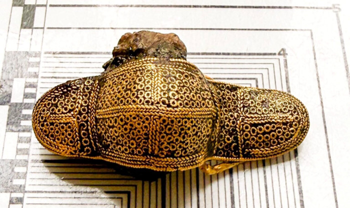 The brooch placed on a measurement chart.
